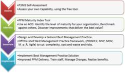 P3M3 Maturity Index